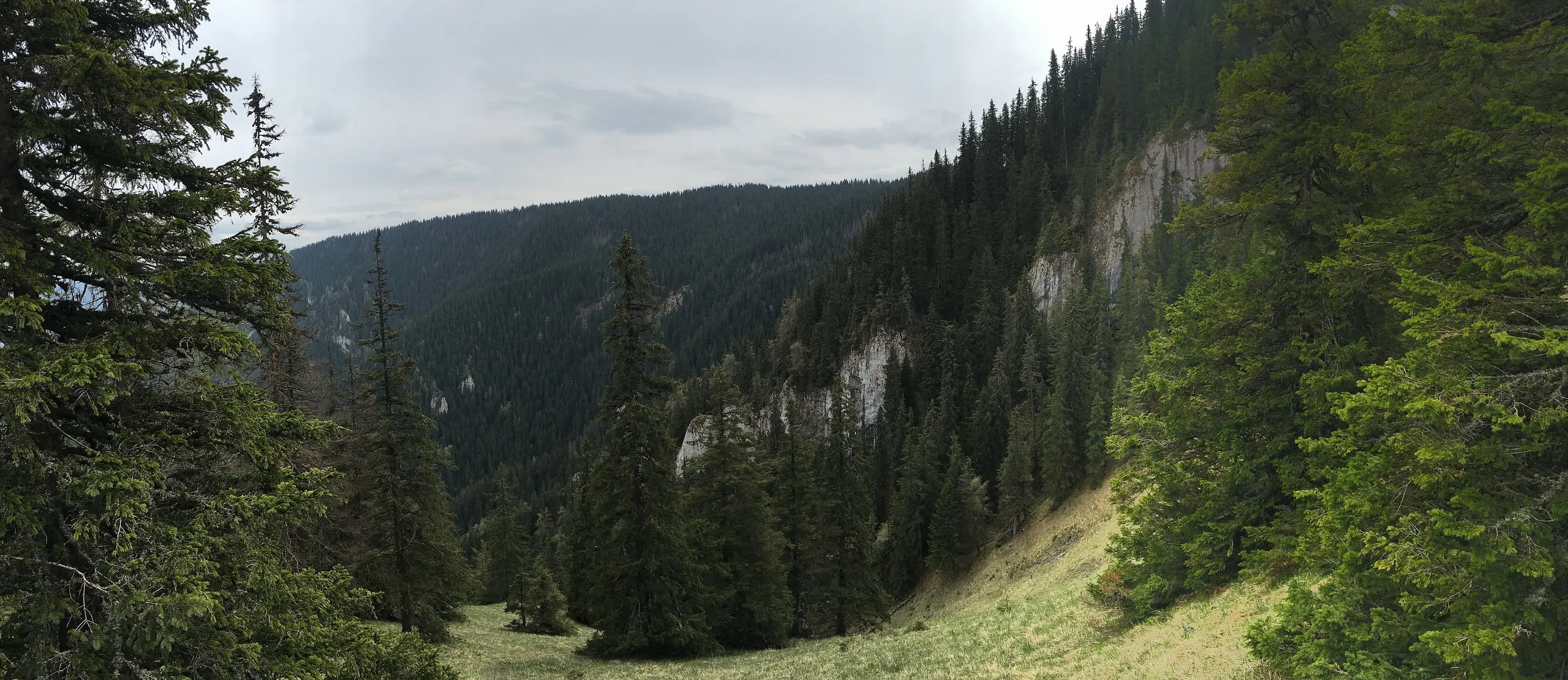 Skalnatá dolina pod vrchom Slemä